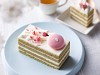 目黒川の花見をイメージした「さくらケーキ」　オッジが限定販売